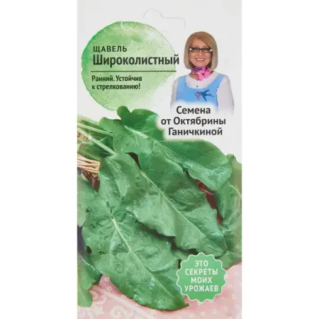 Щавель широколистный