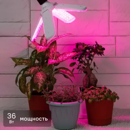 Фитолампа светодиодная для растений Е27 220 В 36 Вт 4 лепестка красно-синий спектр розовый свет marshydro sp3000 светодиодная фитолампа