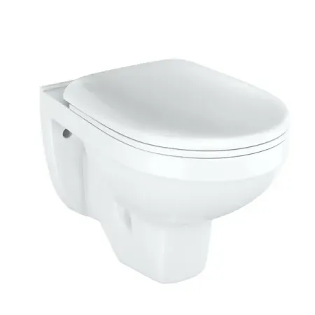 Унитаз подвесной Rosa Рио Люкс с сиденьем микролифт nicelet светящиеся наклейки на унитаз