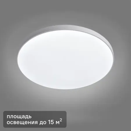 Светильник настенно-потолочный светодиодный Leek 24 Вт круг IP65 нейтральный белый свет