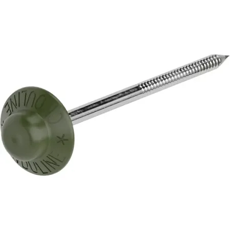 Гвозди кровельные ершёные для Ондулина цвет зеленый 0.5 кг (100 шт.)