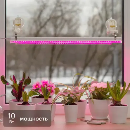 Фитосветильник линейный светодиодный Ritter Planta 56296 2 10Вт 572мм провод 2м с выключателем на корпусе цвет белый