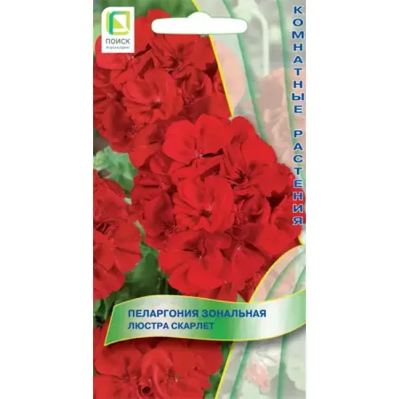 Семена цветов Поиск пеларгония зональная Люстра скарлет 5 шт. деревянные миниатюрные подковы 24 шт