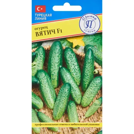 Семена овощей огурец Вятич F1, 5 шт.