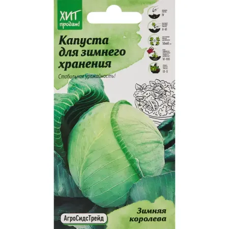 Семена овощей Агросидстрейд капуста Зимняя королева водка зимняя деревенька россия 1 л
