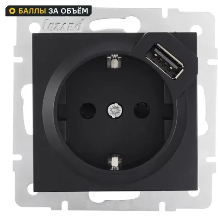 Розетка встраиваемая Lezard Vesna с заземлением USB C 742-4288-181 с заземлением цвет черный