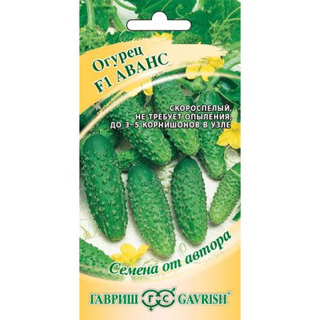 Огурец Гавриш Аванс F1 10 шт. корнишон! от автора