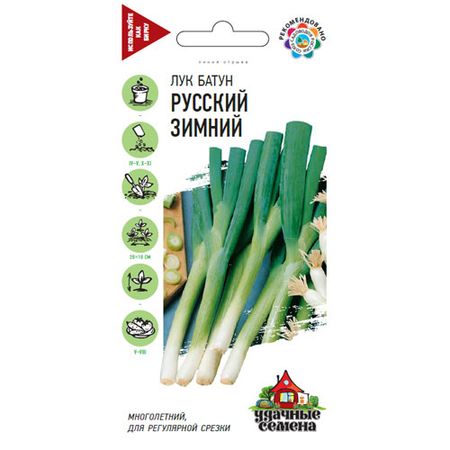 Лук батун Гавриш Русский зимний 0,5  г Удачные семена