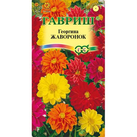 Георгина Гавриш Жаворонок, смесь 0,3 г