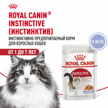 Консервы, паучи Royal Canin паучи Для взрослых кошек, кусочки в желе, Instinctive (1 шт)
