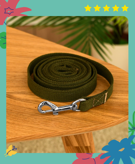 Ошейники, шлейки Yami Yami амуниция Брезентовый поводок с карабином (№1)