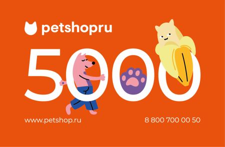 Подарочные сертификаты Сертификат Подарочный сертификат на 5000 рублей (1 г)