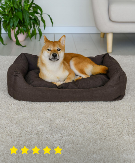 Лежаки Tappi лежаки 