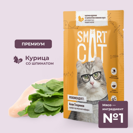 Консервы, паучи Smart Cat паучи Паучи для взрослых кошек и котят кусочки курочки со шпинатом в нежном соусе. Влажный корм (85 г)