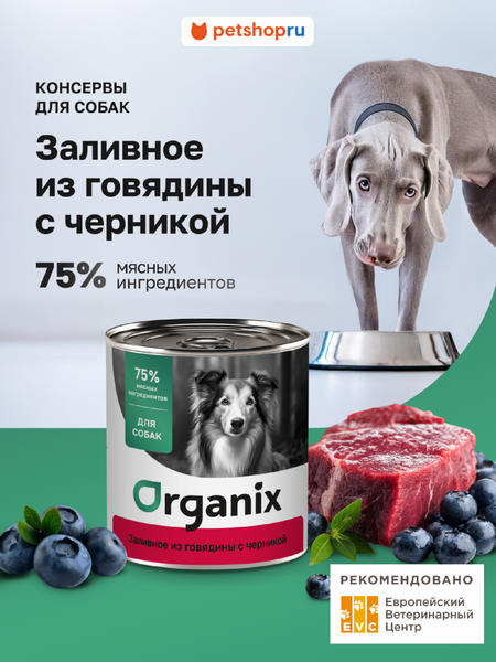 Холистики Organix консервы Консервы для собак Заливное из говядины с черникой. Влажный корм (100 г)