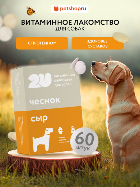 Витамины и добавки 2u Мультивитаминное лакомство для собак для здоровья суставов с протеином и пивными дрожжами, Doggy's HondroPlus, 60шт (60 таб.)