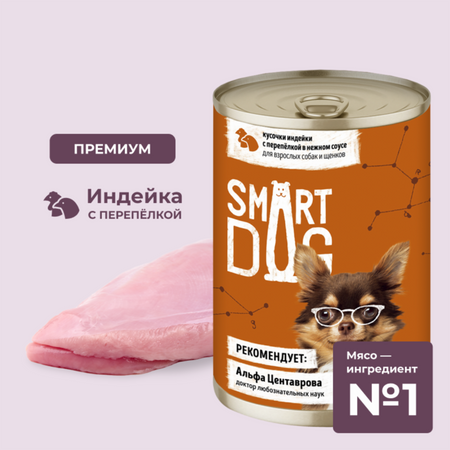 Консервы, паучи Smart Dog консервы Консервы для взрослых собак и щенков кусочки индейки с перепелкой в нежном соусе. Влажный корм (850 г)