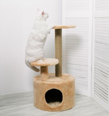 Для дома PETSHOP Домик-когтеточка 