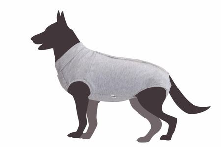 Лекарственные препараты Camon Попона послеоперационная для собак, 24 см (24 см) наталья юрьевна онойко аллергия