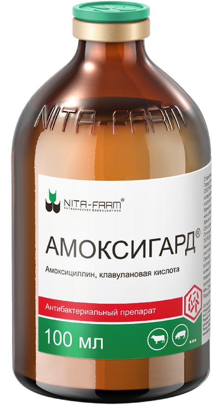 Лекарственные препараты Nita-Farm Амоксигард, 100 мл, комбинированный антибактериальный препарат (100 мл)