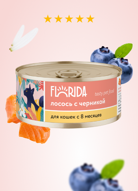 Холистики FLORIDA консервы для  кошек 