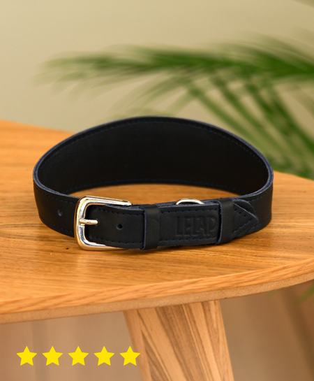 Ошейники, шлейки LeLap амуниция Ошейник селедка Bleu из натуральной кожи, синий (35-40 см)