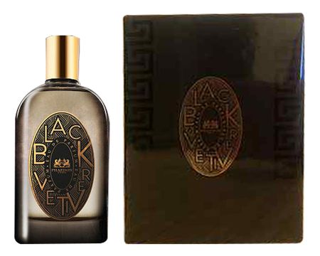 Black Vetiver: парфюмерная вода 100мл the majestic vetiver парфюмерная 100мл