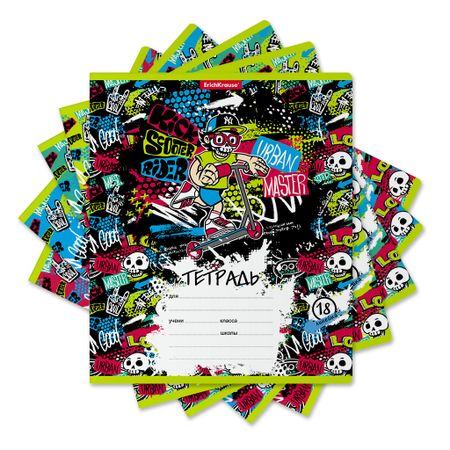 Тетрадь школьная ученическая Erich Krause Scooter Master в линейку А5+ 18 листов в ассортименте тетрадь в линейку planetary diary 38 листов в ассортименте
