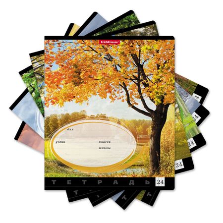 Тетрадь школьная ученическая Erich Krause Родные просторы в клетку A5+ 24 листа в ассортименте тетрадь в клетку hatber капельки а4 96 листов в ассортименте