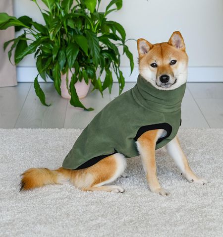 Для прогулок Lelap одежда Жилетка флисовая 