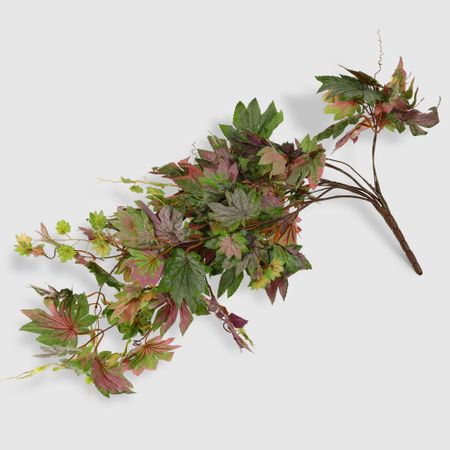 Лиана Конэко-О 63813 лиана шнайдер конни в школе