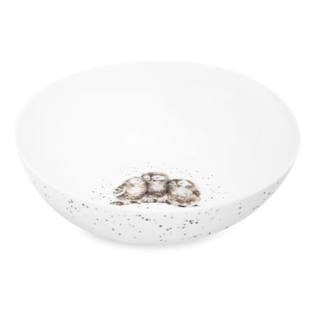 Тарелка для каши Royal Worcester Забавная фауна Сова 15 см