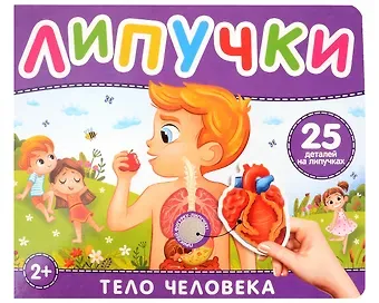 Наталья Игоревна Котятова Тело человека. Книга с липучками