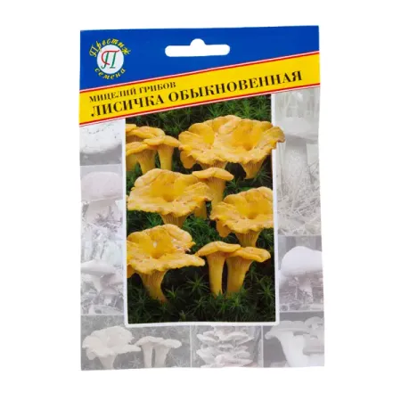 Семена Гриб лисичка обыкновенная гуси лебеди лисичка со скалочкой