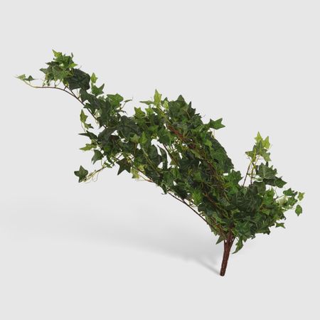 Лиана Конэко-О-76918 XH041G лиана шнайдер конни в школе