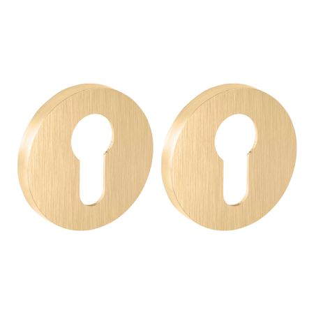 Ключевина Fuaro SSG-39 круглая розетка сатинированное золото (46873) владимир вячеславович малявин ы в тумане вглядываясь в азию