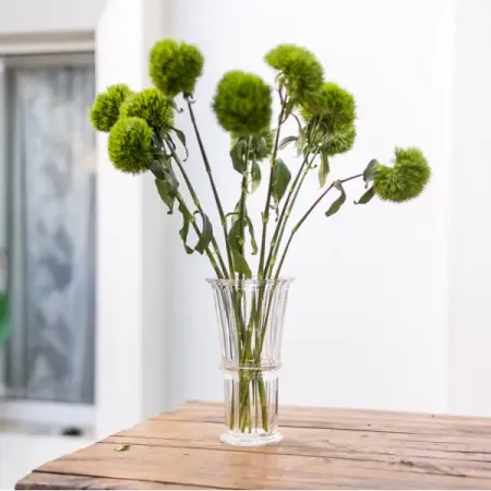 Ваза Desire стекло цвет прозрачный 23 см фотокарт kpop jungwon jake jay desire unleash