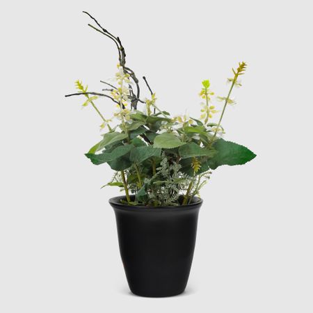 Цветы в горшке Конэко-О