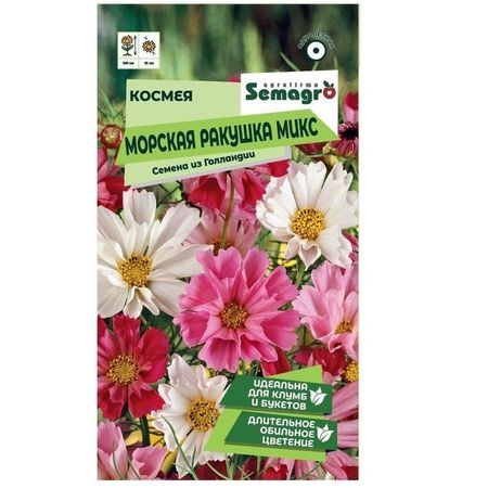 Семена космеи Semagro морская ракушка микс