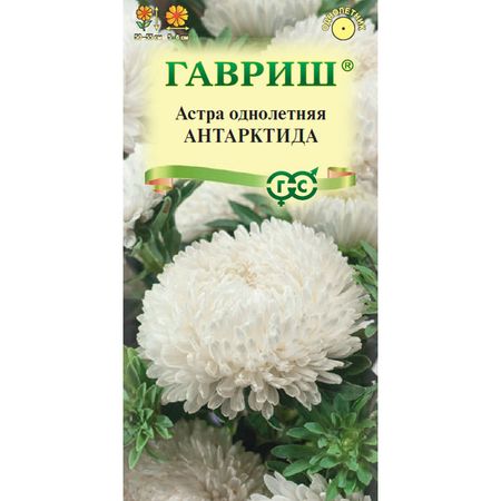 Семена Гавриш Астра Антарктида, однолетняя (пионовидная белая) 0,3 г