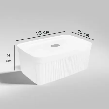 Коробка с крышкой для хранения Velvet 23x9x15 см полипропилен цвет белый