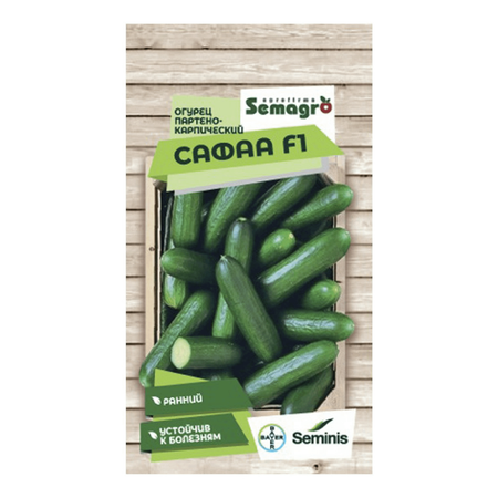 Семена Seminis огурец пчелоопыляемый сафаа f1