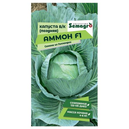 Семена Seminis капуста б/к аммон f1