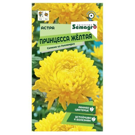 Семена Semagro астры принцесса желтая