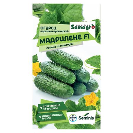 Семена Seminis огурец партенокарпик мадрилене f1