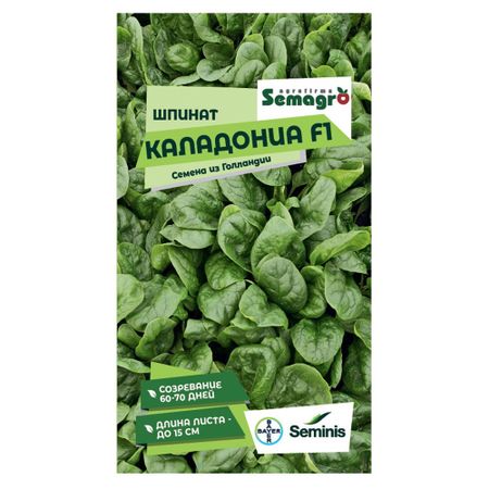 Семена Seminis шпинат каладония