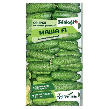 Семена Seminis огурец партенокарпик маша f1