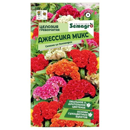 Семена Semagro целозии гребенчатой джессика микс