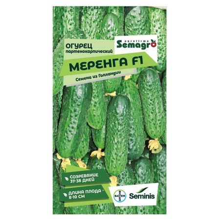 Семена Seminis огурец партенокарпик меренга f1