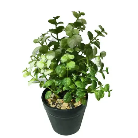 Горшок с искусственным растением «Вид 2» Ø20 см высота 10 см